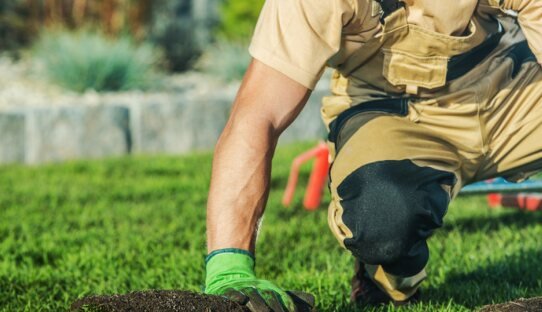 Landscaper laying turf
